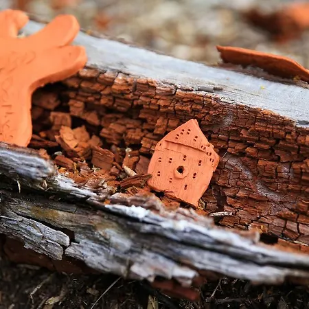 Vakantiepark Air Et Vie