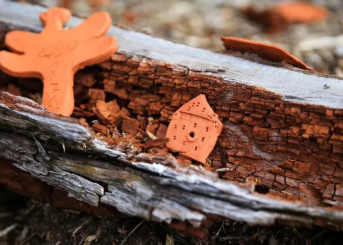 ホリデーパーク Air Et Vie